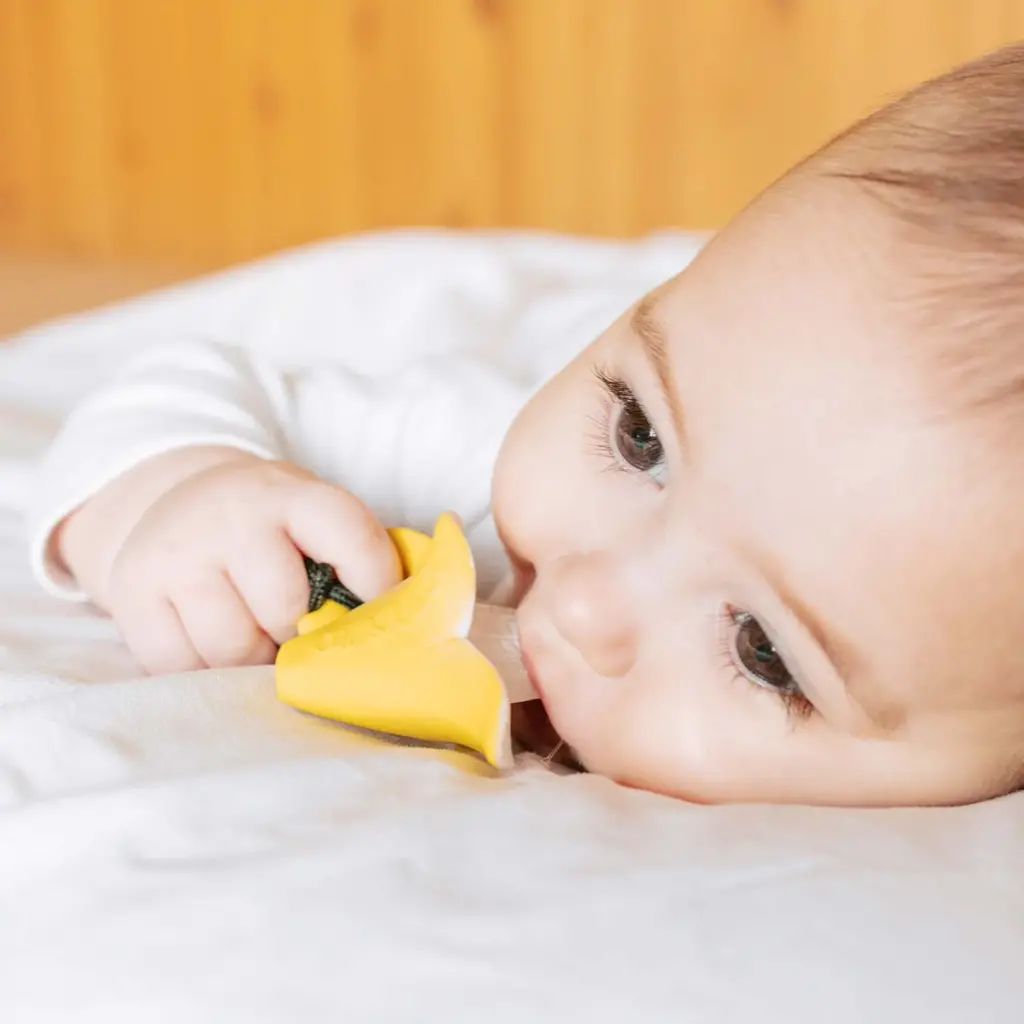 A baby is chewing on a Oli & Carol Anita the Bananita Mini Baby Teether Natural Rubber.