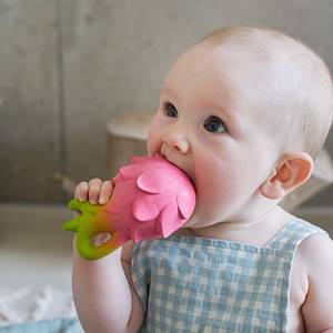 A baby is chewing on an Oli & Carol Fucsia de Dragonfruit Baby Teether Natural Rubber.