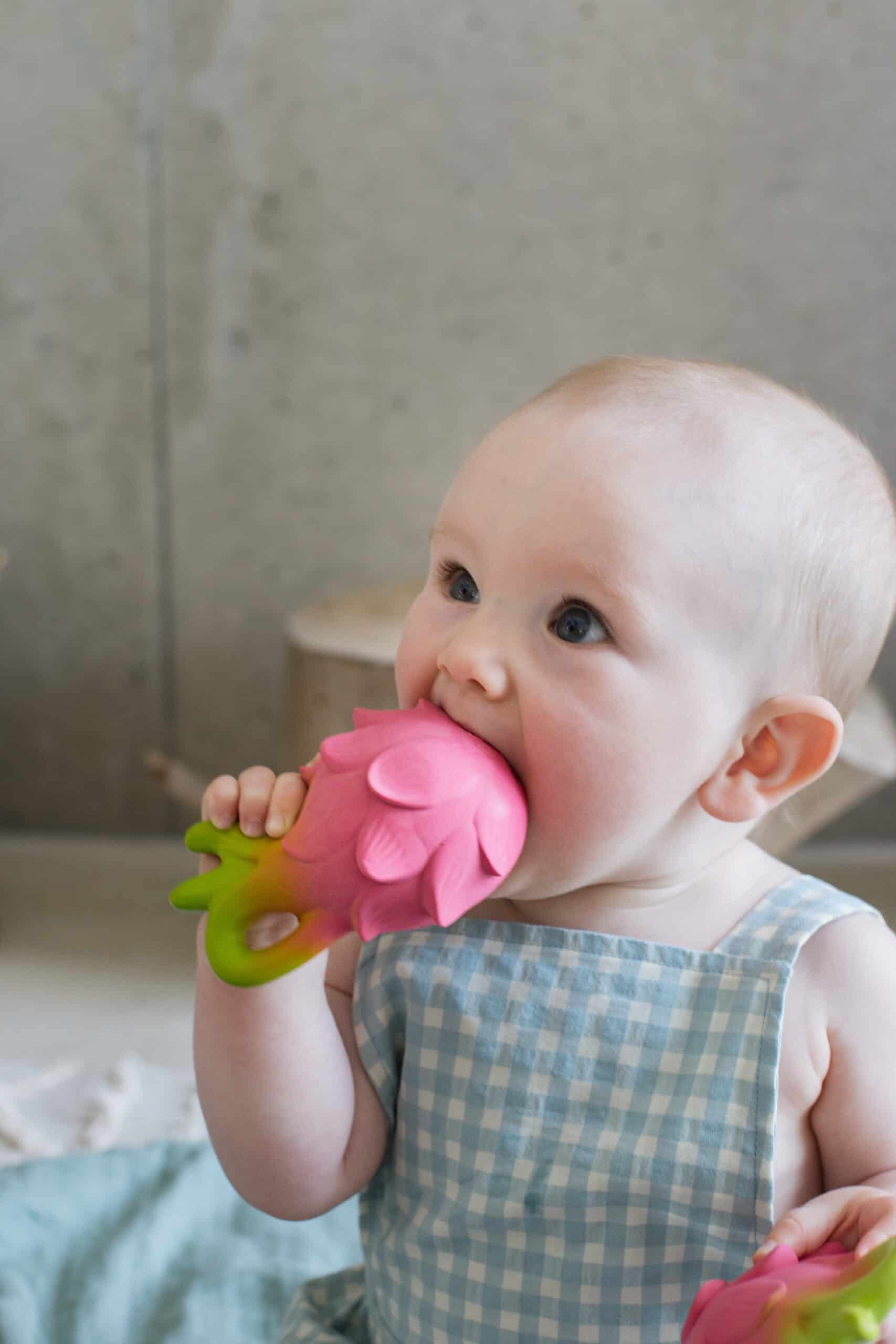Oli & Carol Fucsia de Dragonfruit Baby Teether Natural Rubber (7) A baby is chewing on an Oli & Carol Fucsia de Dragonfruit Baby Teether Natural Rubber.