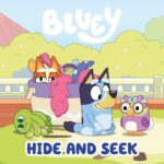 Hide and Seek