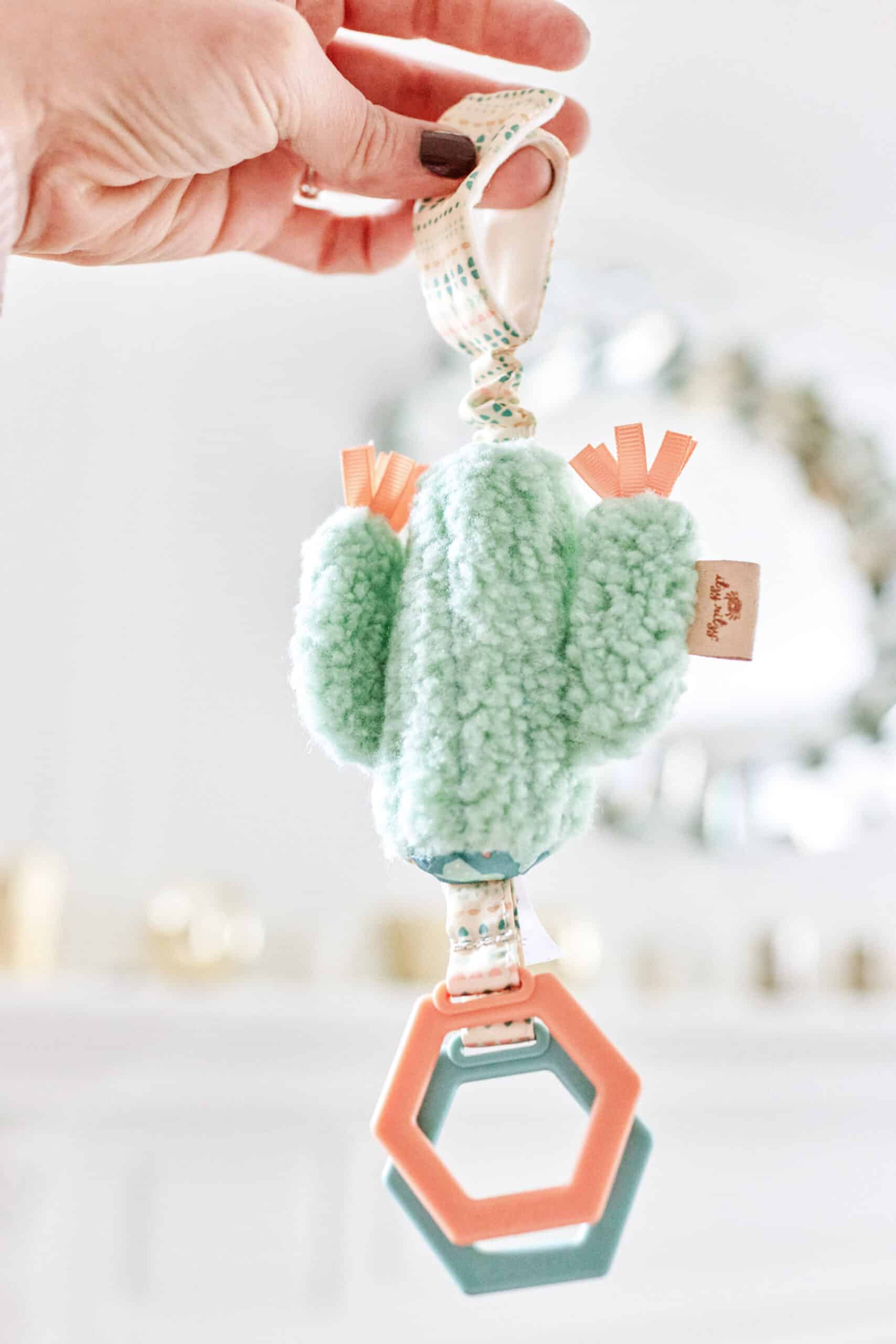 Itzy-Ritzy-JIN8320-Ritzy-Jingle-Cactus-7-scaled