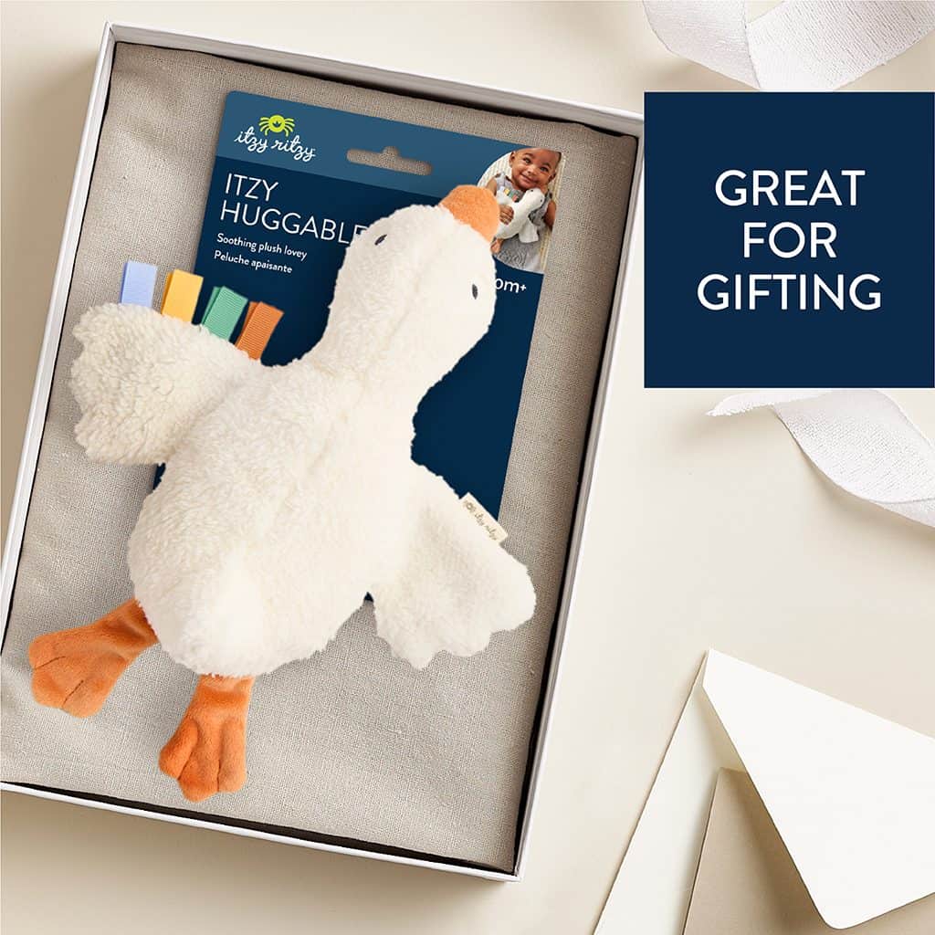 Itzy Ritzy Itzy Huggable plush lovey Gracie the Goose Itzy Ritzy Itzy Huggable plush lovey Gracie the Goose