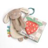 Itzy Ritzy Itzy Learn and Snuggle gift set with bunny lovey and strawberry crinkle book Itzy Ritzy Itzy Learn and Snuggle gift set with bunny lovey and strawberry crinkle book