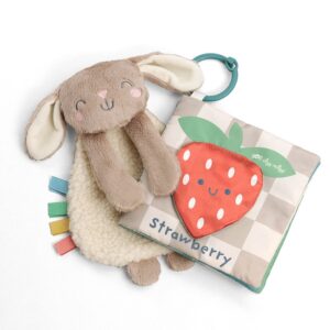 Itzy Ritzy Itzy Learn and Snuggle gift set with bunny lovey and strawberry crinkle book