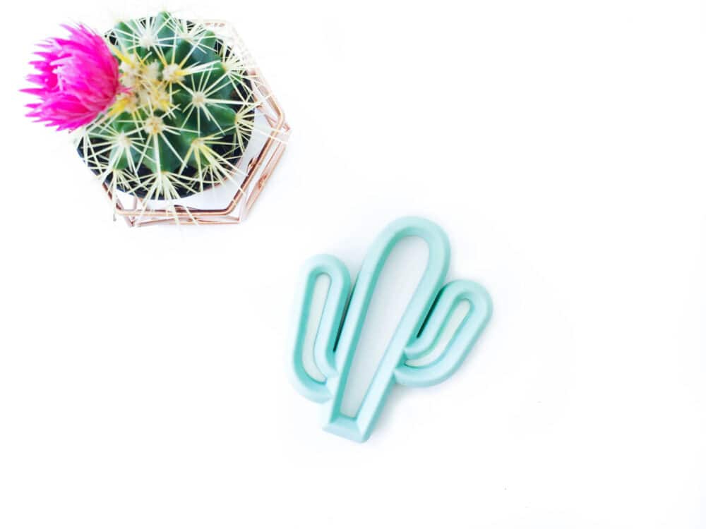 A cactus plant and a cactus cookie cutter on a white table.