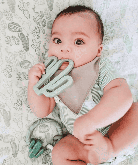 A baby is laying on a bed with a cactus toy.