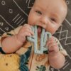 A baby is chewing on a cactus toy.