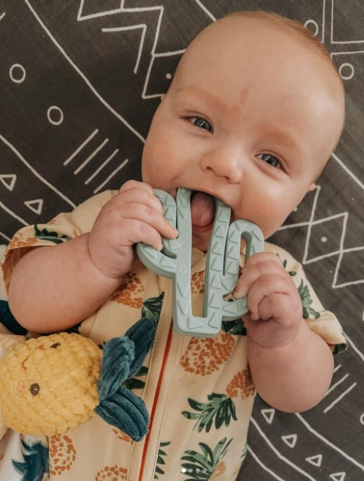 A baby is chewing on a cactus toy.