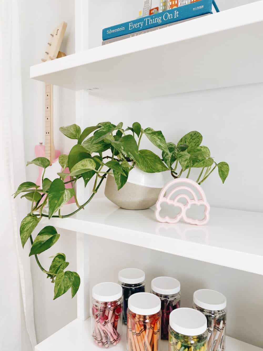 A white shelf with a plant and a few jars.