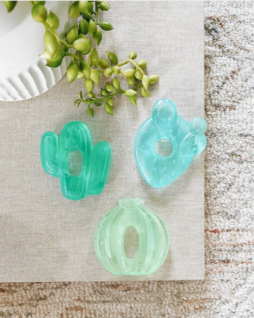 Cutie Coolers Water Filled Teethers - Cactus