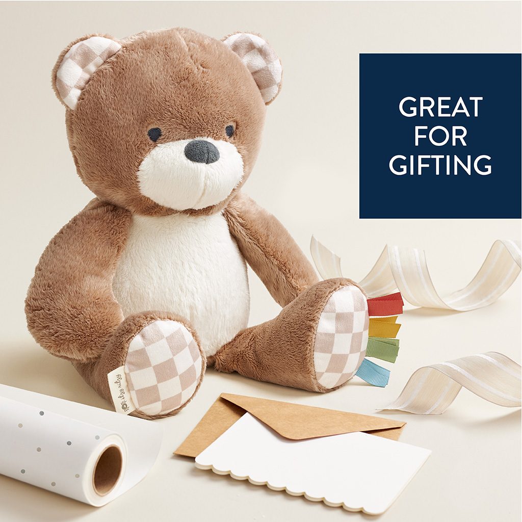Itzy Ritzy Sweetie Snuggles plush toy Theo the Bear product photo 6 Itzy Ritzy Sweetie Snuggles plush toy Theo the Bear product photo 6