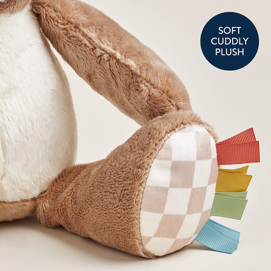 Itzy Ritzy Sweetie Snuggles plush toy Theo the Bear product photo 7 Itzy Ritzy Sweetie Snuggles plush toy Theo the Bear product photo 7