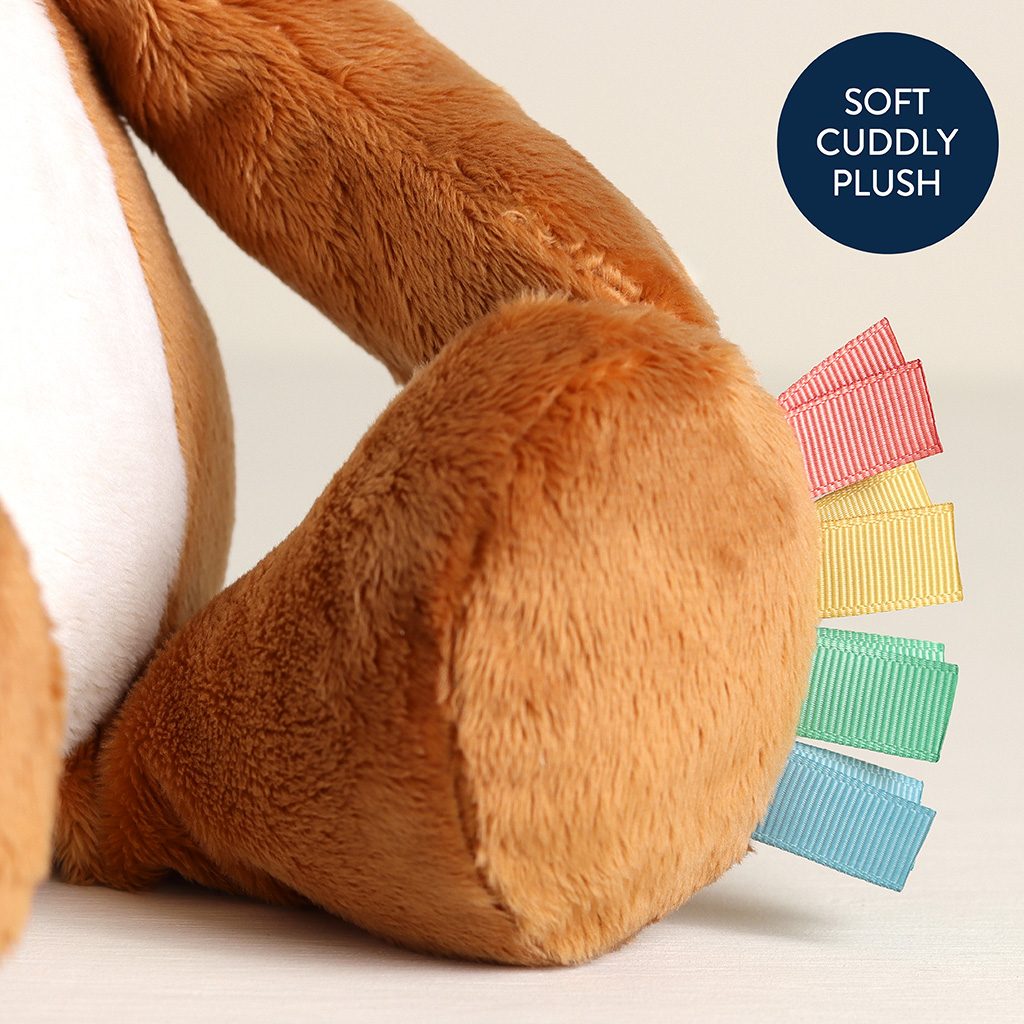 Itzy Ritzy Sweetie Snuggles plush toy Alex the Fox product photo 4 Itzy Ritzy Sweetie Snuggles plush toy Alex the Fox product photo 4