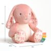 Itzy Ritzy Sweetie Snuggles plush toy Ana the Pink Bunny product photo 9 Itzy Ritzy Sweetie Snuggles plush toy Ana the Pink Bunny product photo 9