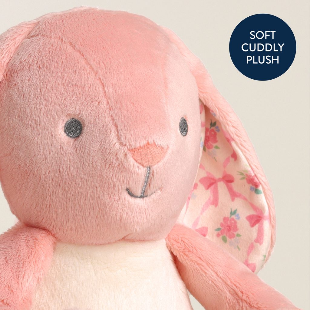 Itzy Ritzy Sweetie Snuggles plush toy Ana the Pink Bunny product photo 10 Itzy Ritzy Sweetie Snuggles plush toy Ana the Pink Bunny product photo 10