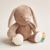 Itzy Ritzy Sweetie Snuggles plush toy Billie the Taupe Bunny product photo 7 Itzy Ritzy Sweetie Snuggles plush toy Billie the Taupe Bunny product photo 7