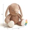 Itzy Ritzy Sweetie Snuggles plush toy Billie the Taupe Bunny product photo 8 Itzy Ritzy Sweetie Snuggles plush toy Billie the Taupe Bunny product photo 8